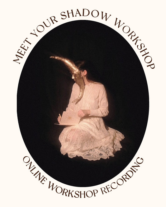 Meet Your Shadow Workshop