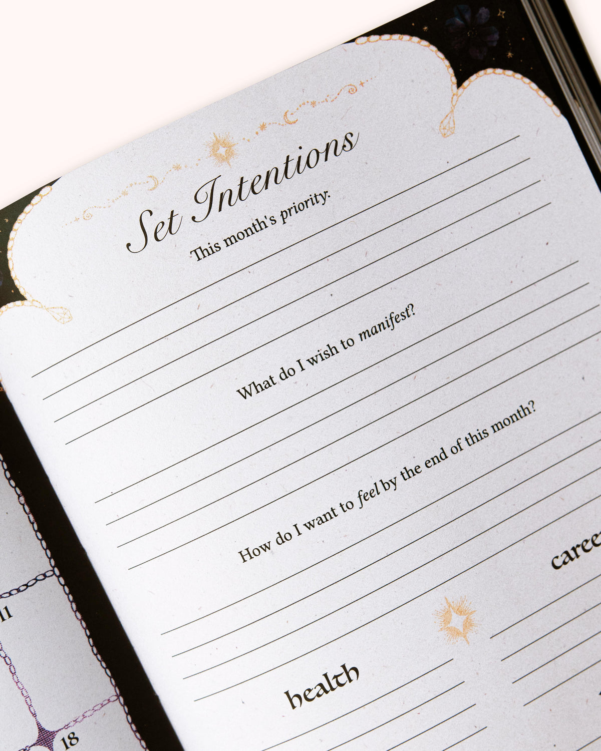 Midnight 2027 Year of Growth - Wholesale