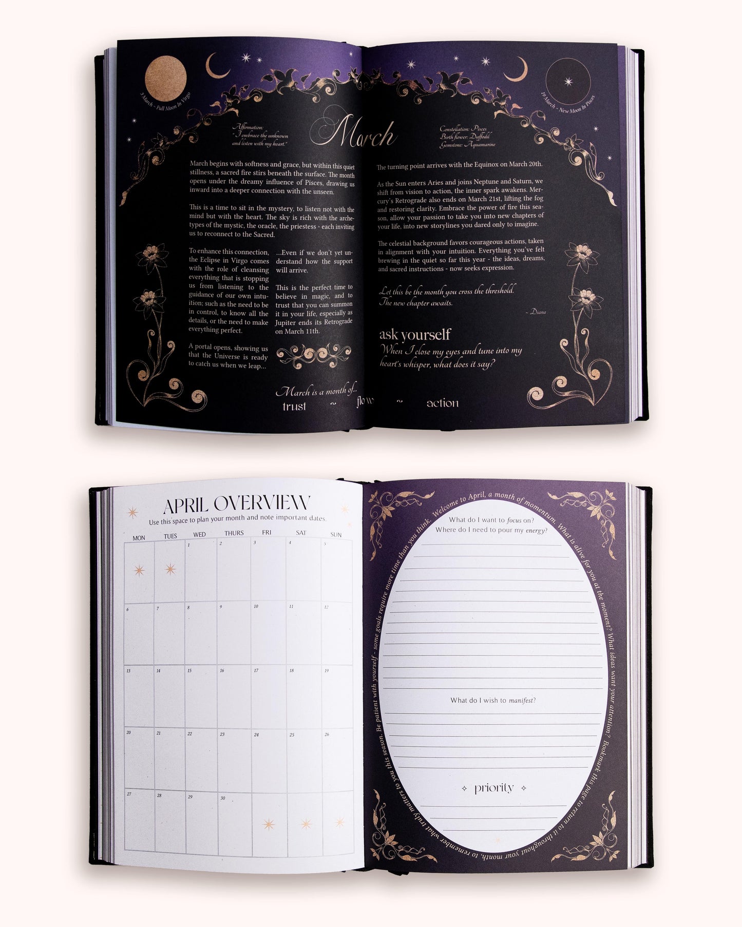 2026 Abundance & Growth Bundle