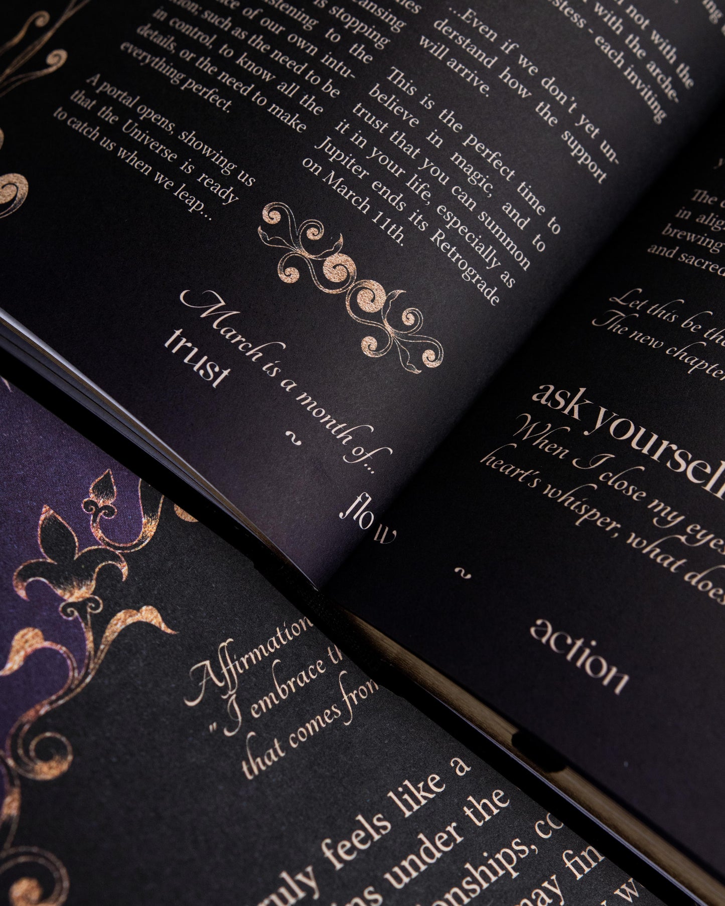 2026 Abundance & Growth Bundle