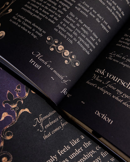 2026 Abundance & Growth Bundle