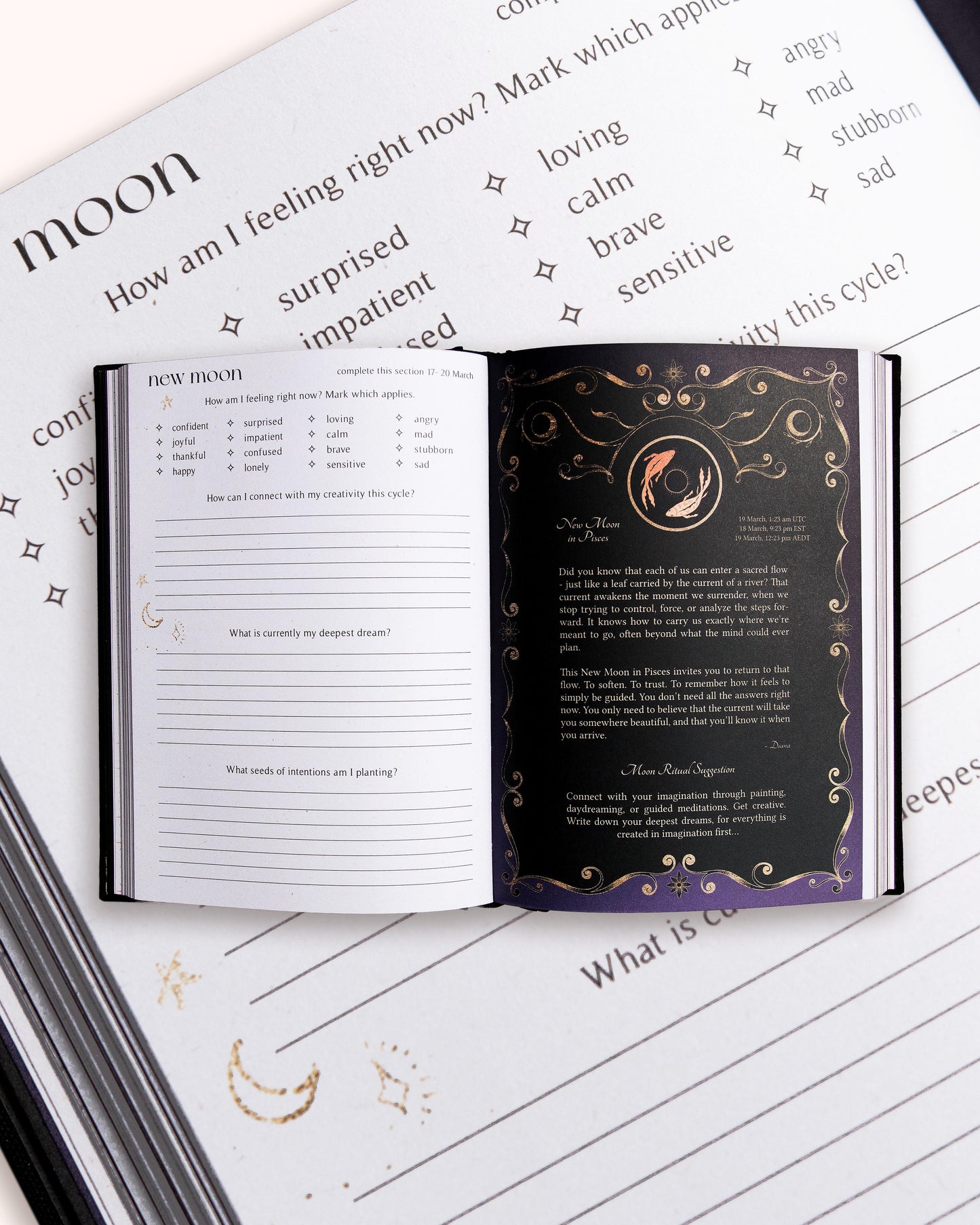 2026 Abundance & Growth Bundle