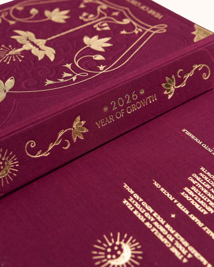 2026 Dreamy Bundles