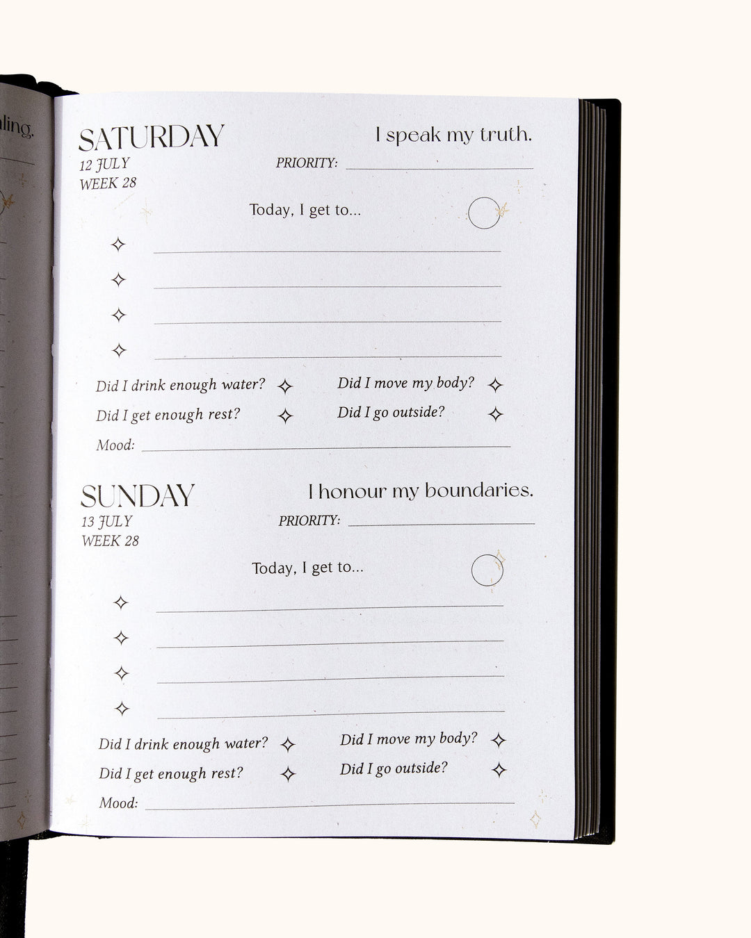 Black 2025 Daily Planner - Wholesale