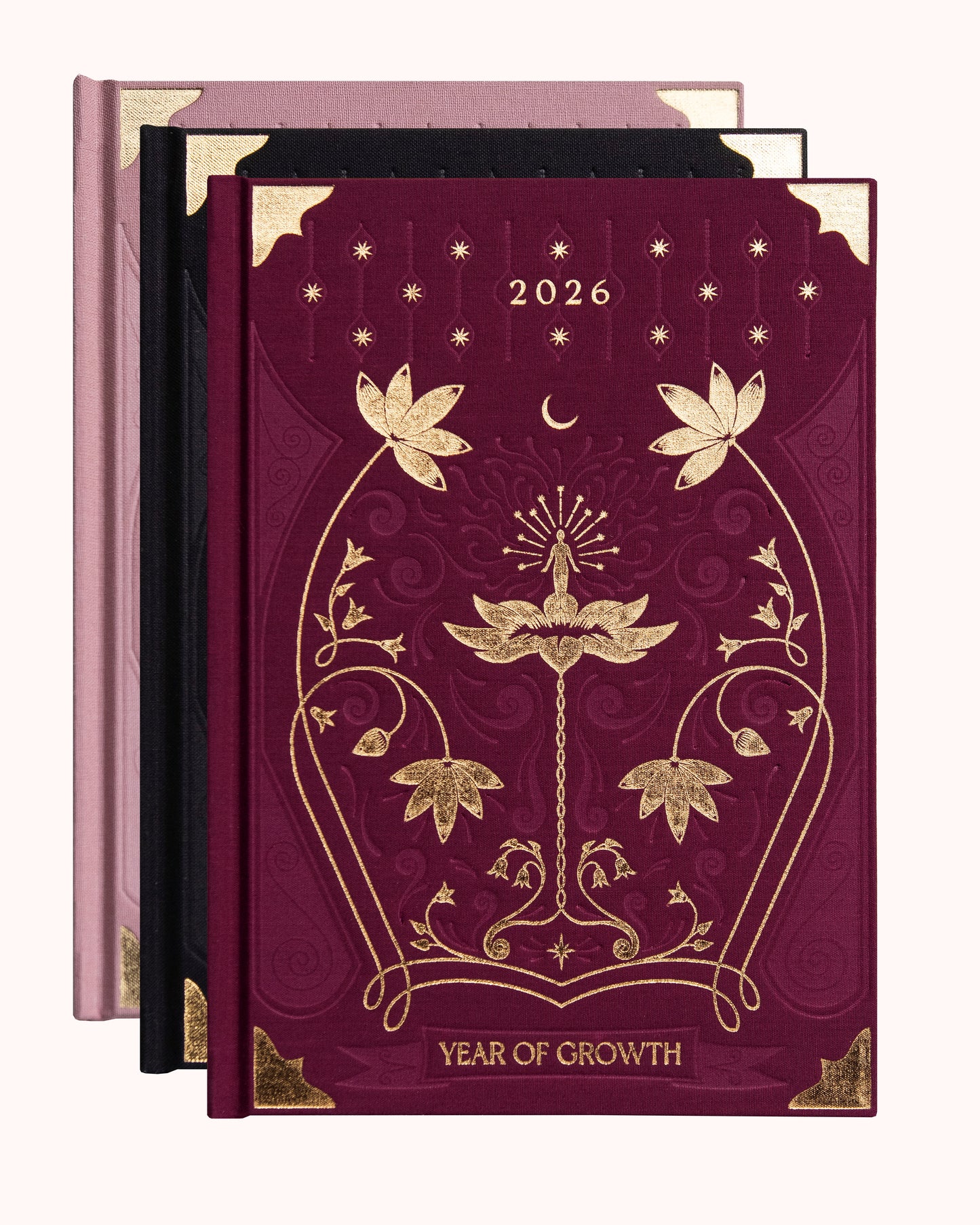 2026 Year of Growth Book