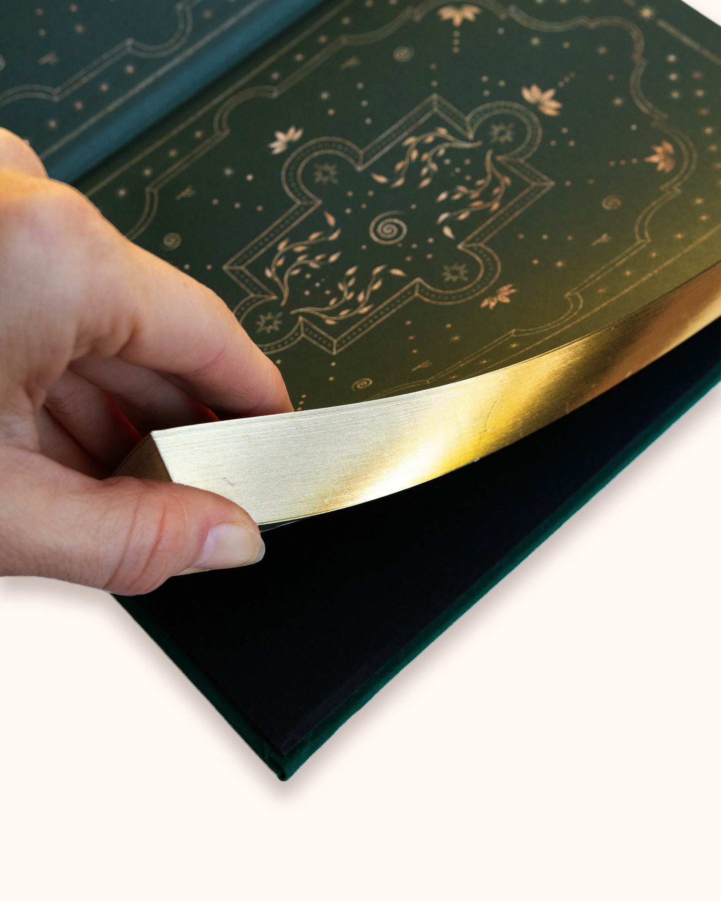 2026 Abundance & Growth Bundle